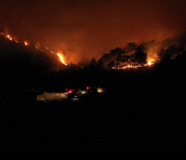 Orman Yangınları Konusunda Uyarı Yapıldı